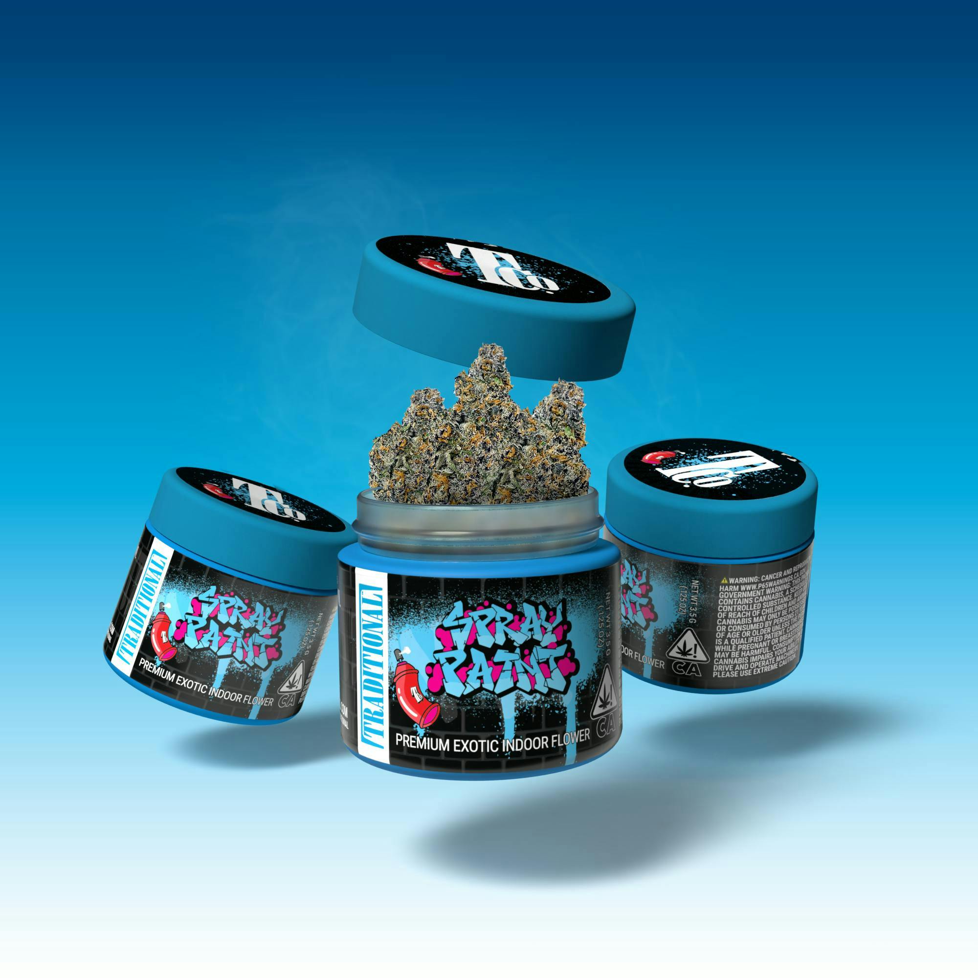 Spray Paint Spray Paint