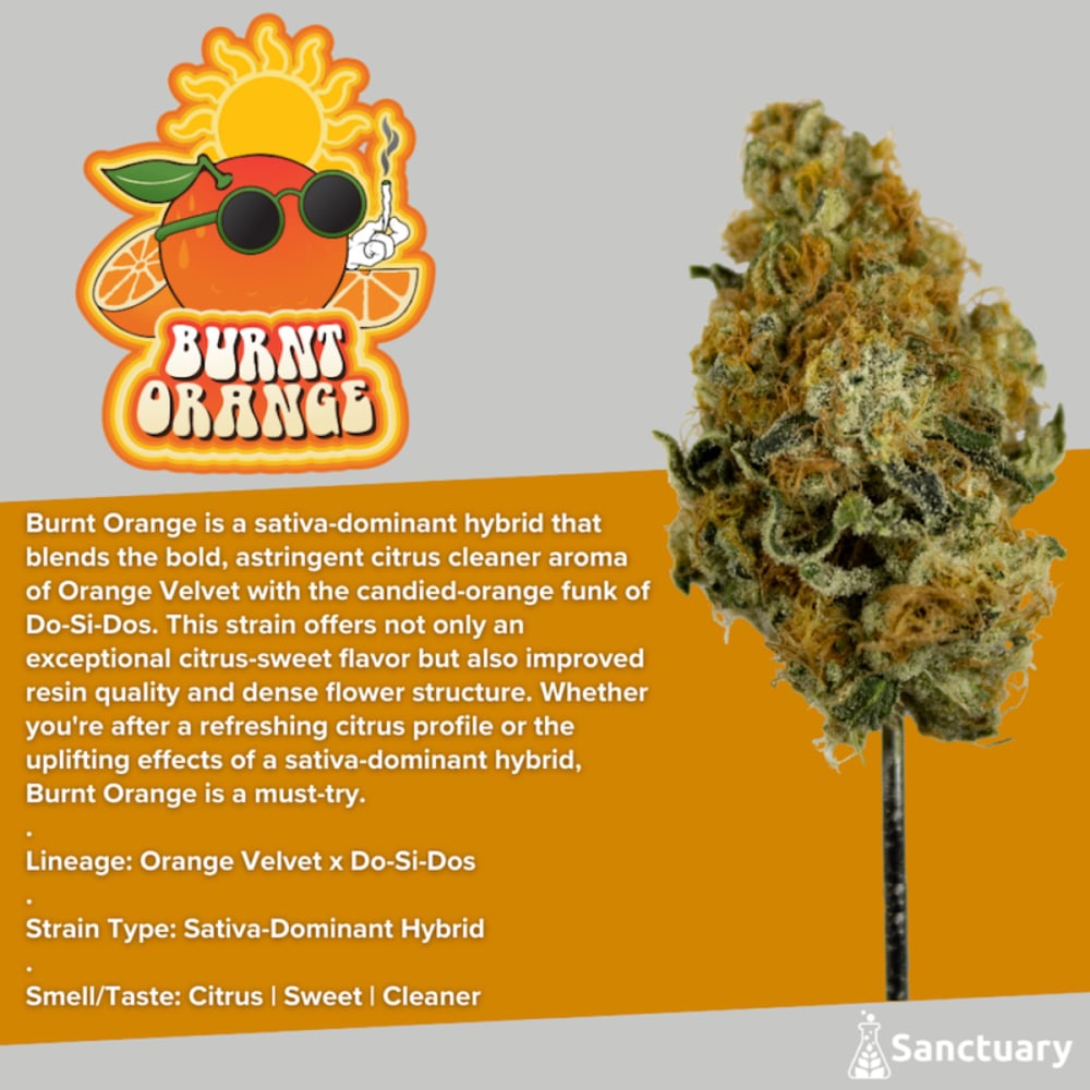 Sanctuary - Burnt Orange Flower