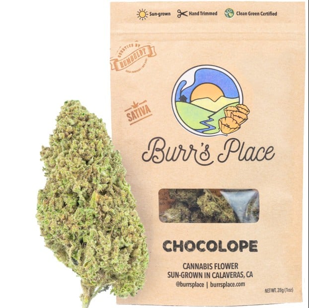 Burr's Place — Chocolope
