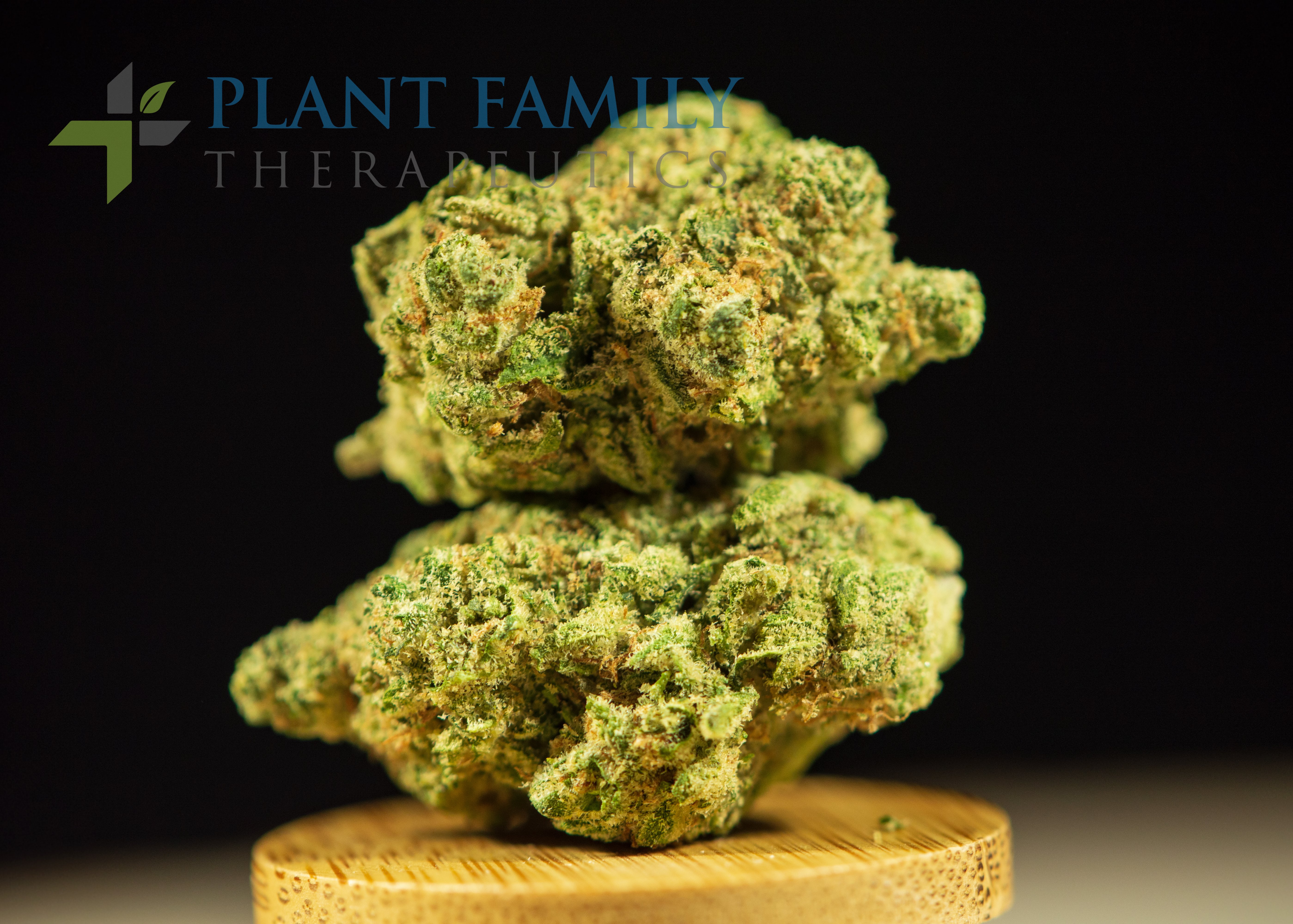 Shop Super Lemon Haze | Plant Family Therapeutics Dispensary