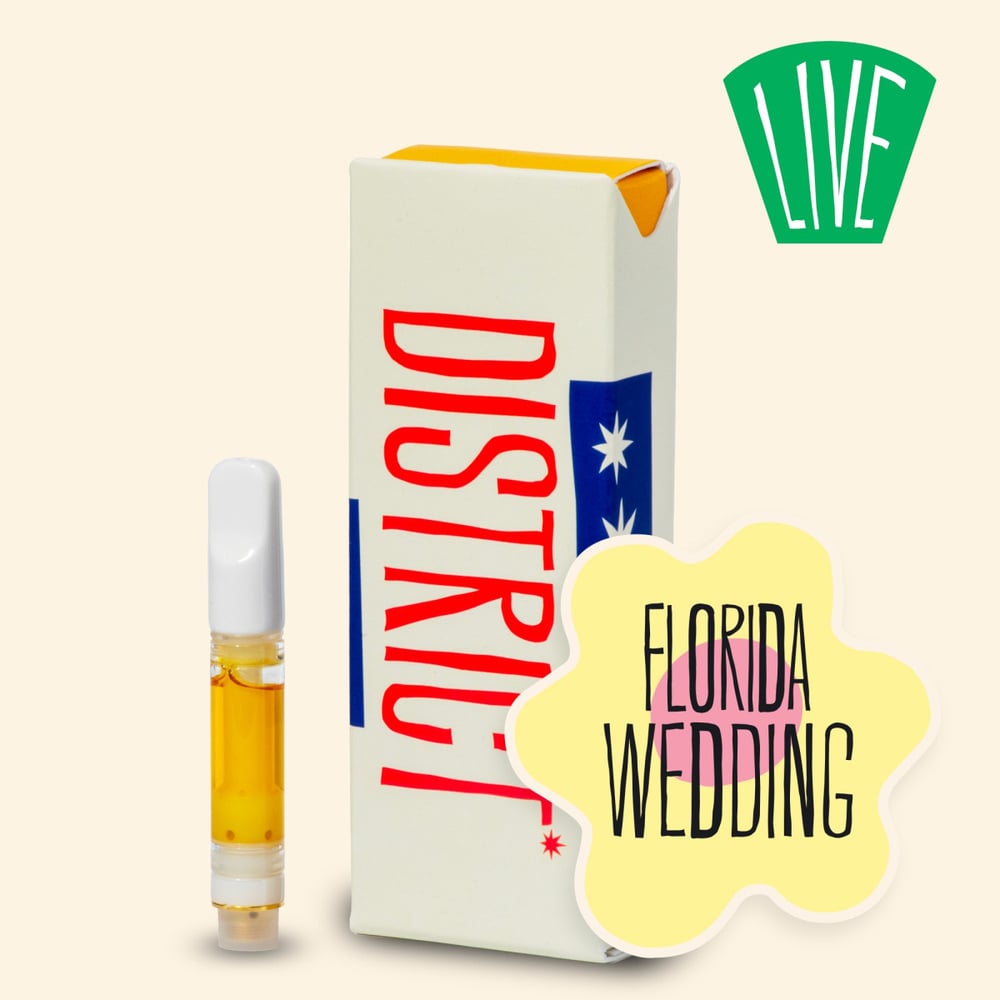 Florida Wedding