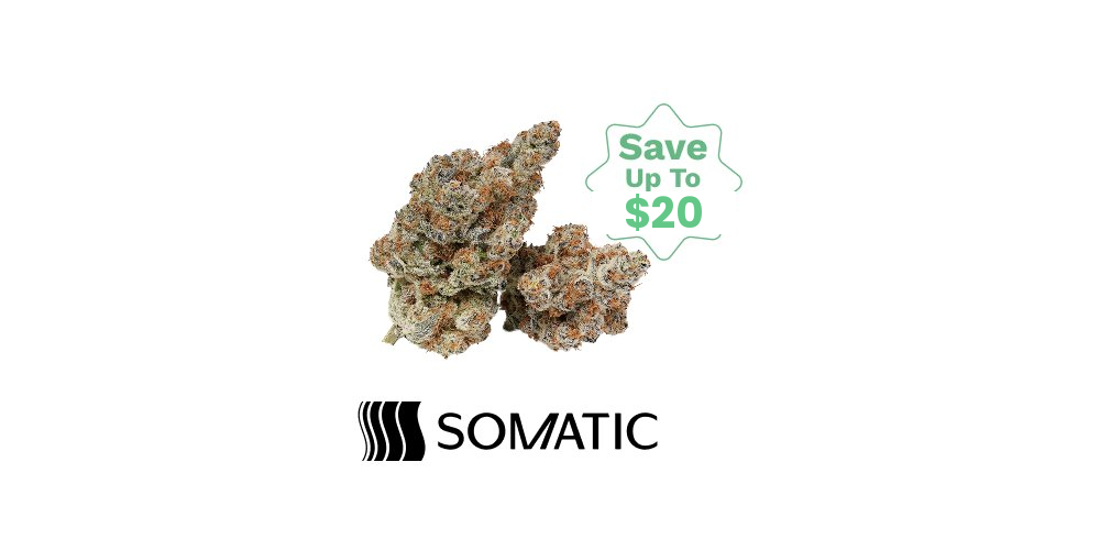 Save $20: Somatic 14g for $80! special