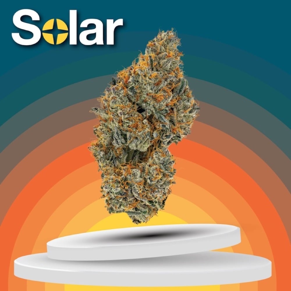 Solar Cannabis Co. - Applescotti Flower