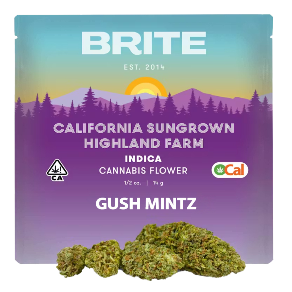 Gush Mintz