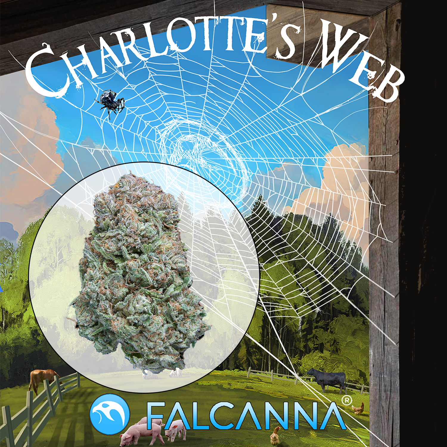 Charlotte's CBD