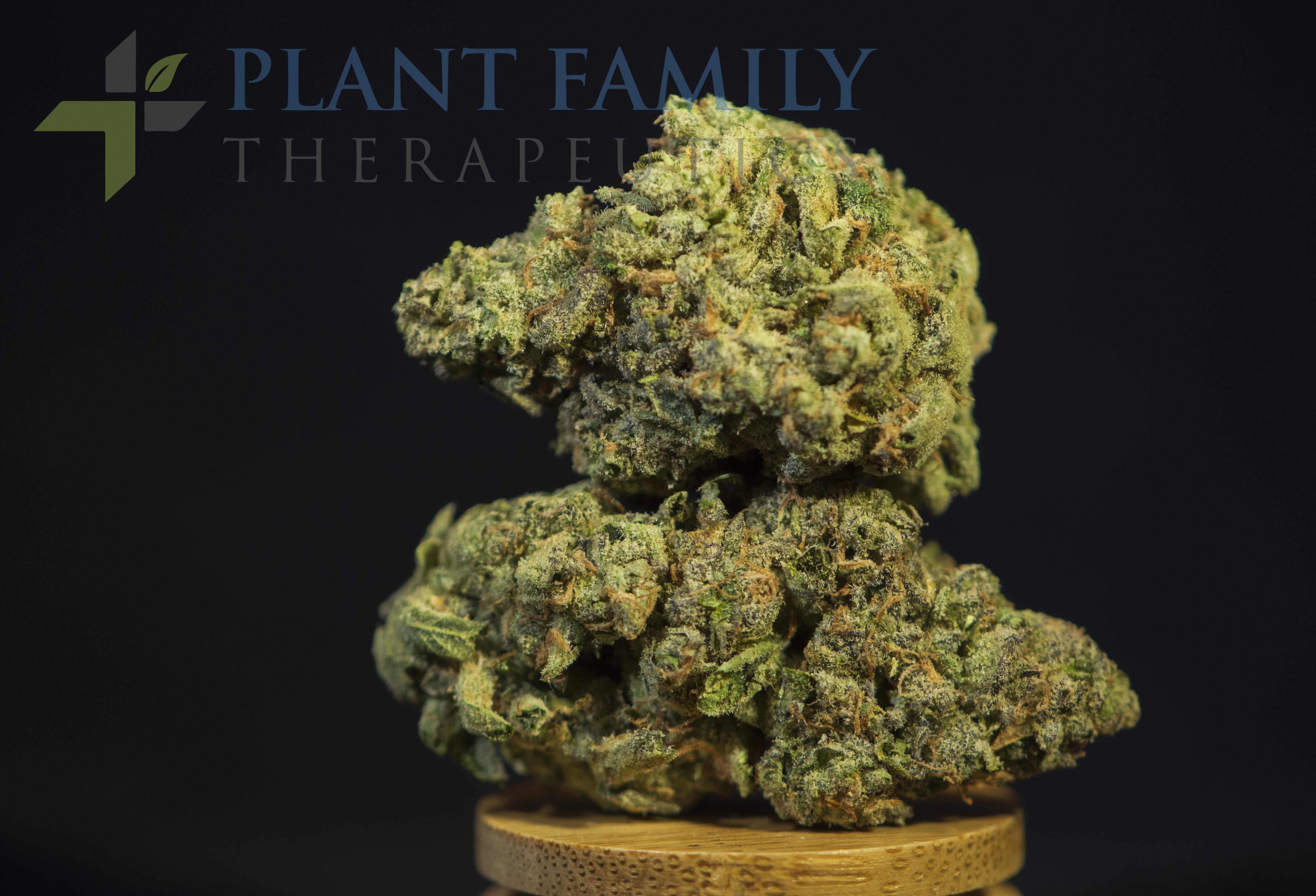 black buffalo tobacco free Charging Ahead Its Own Way