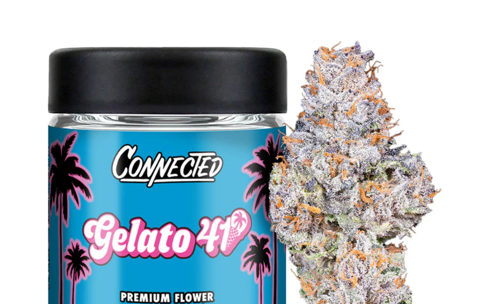 Gelato 41 [10g]