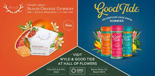 WYLD AND GOOD TIDE WEEKENDS special photo
