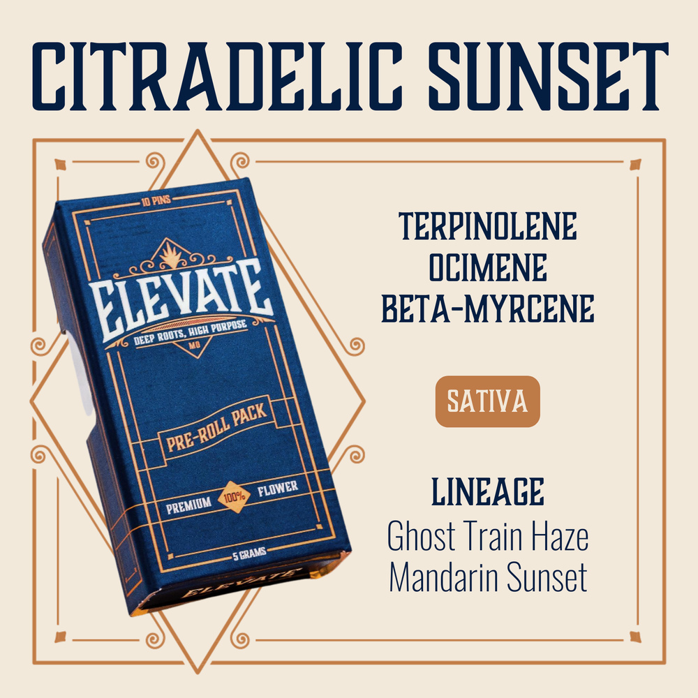 Citradelic Sunset