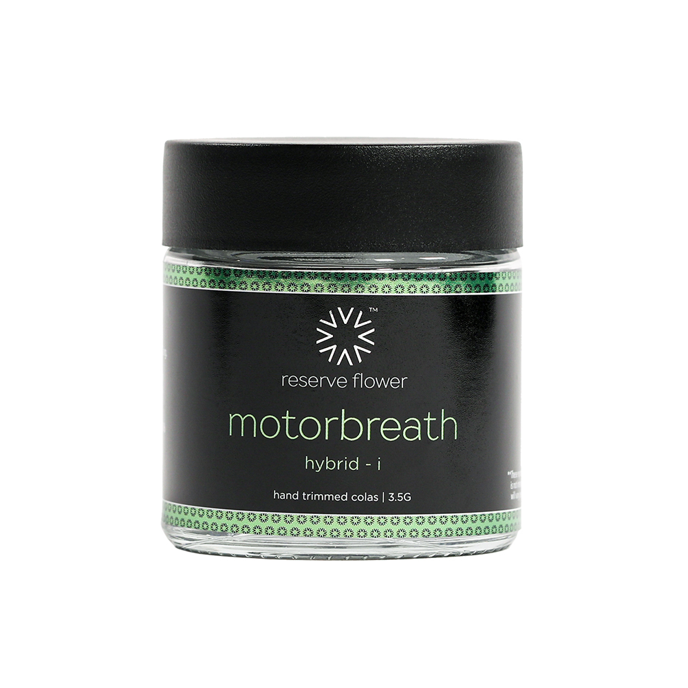 Motorbreath Verano Jane motorbreath-verano-jane
