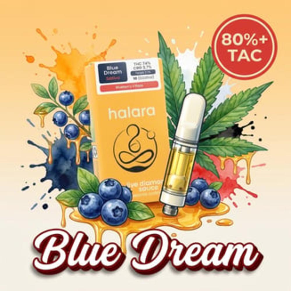 Halara | Blue Dream