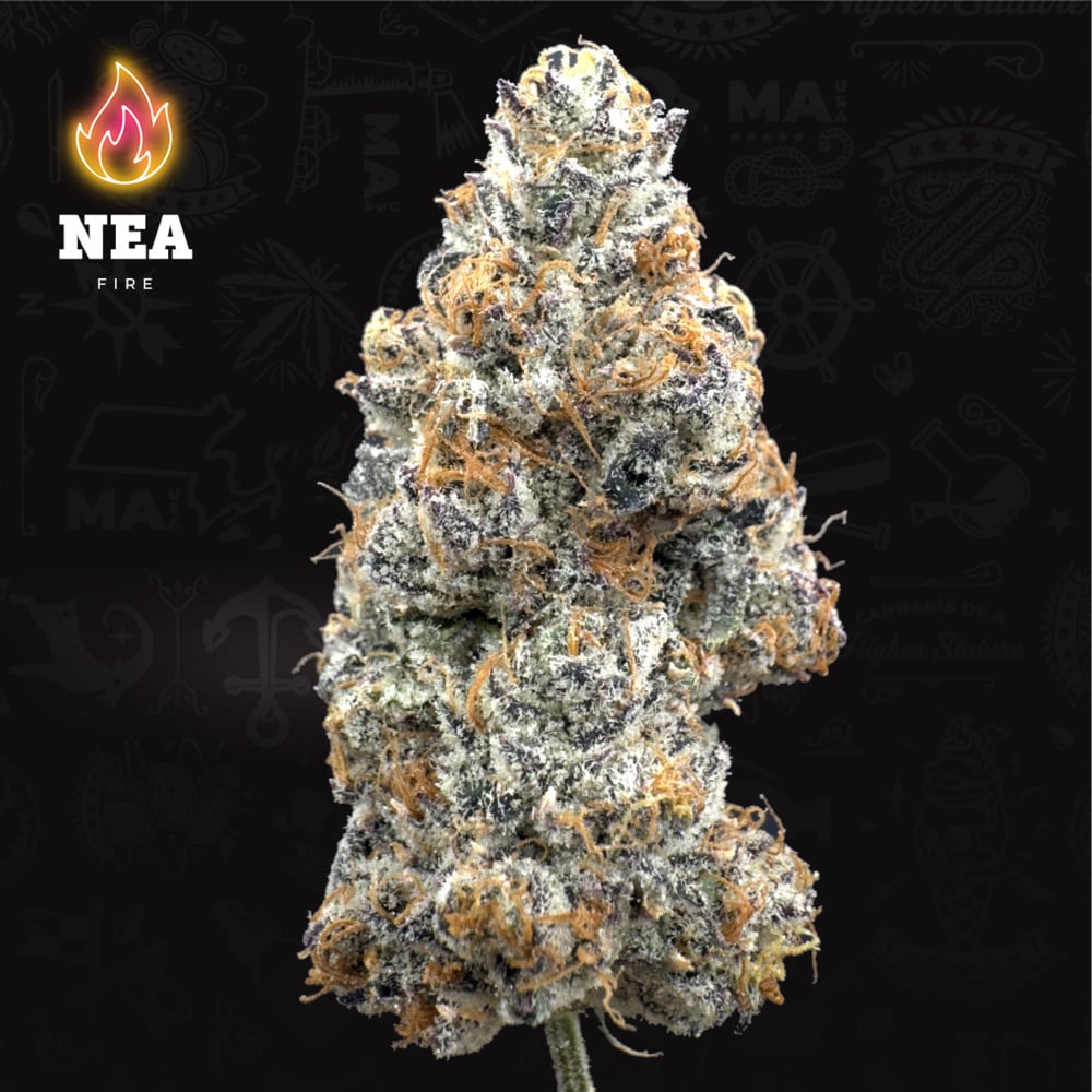 NEA Fire - Gelato Ice Cream Flower