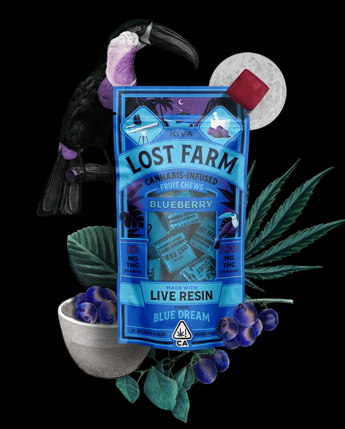 Blueberry x Blue Dream [10pk] (100mg)