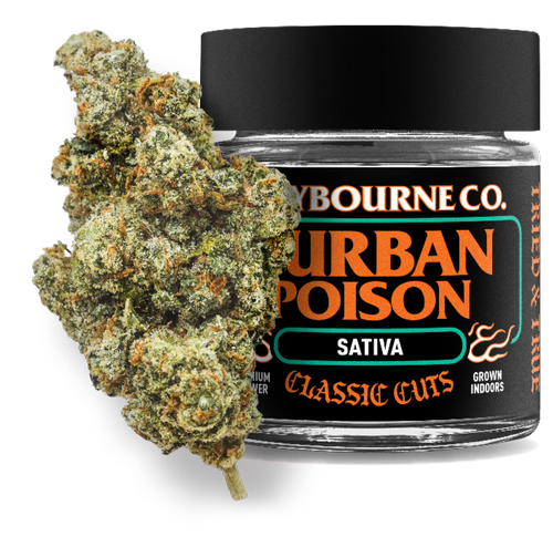 Durban Poison (28g) - Small Buds