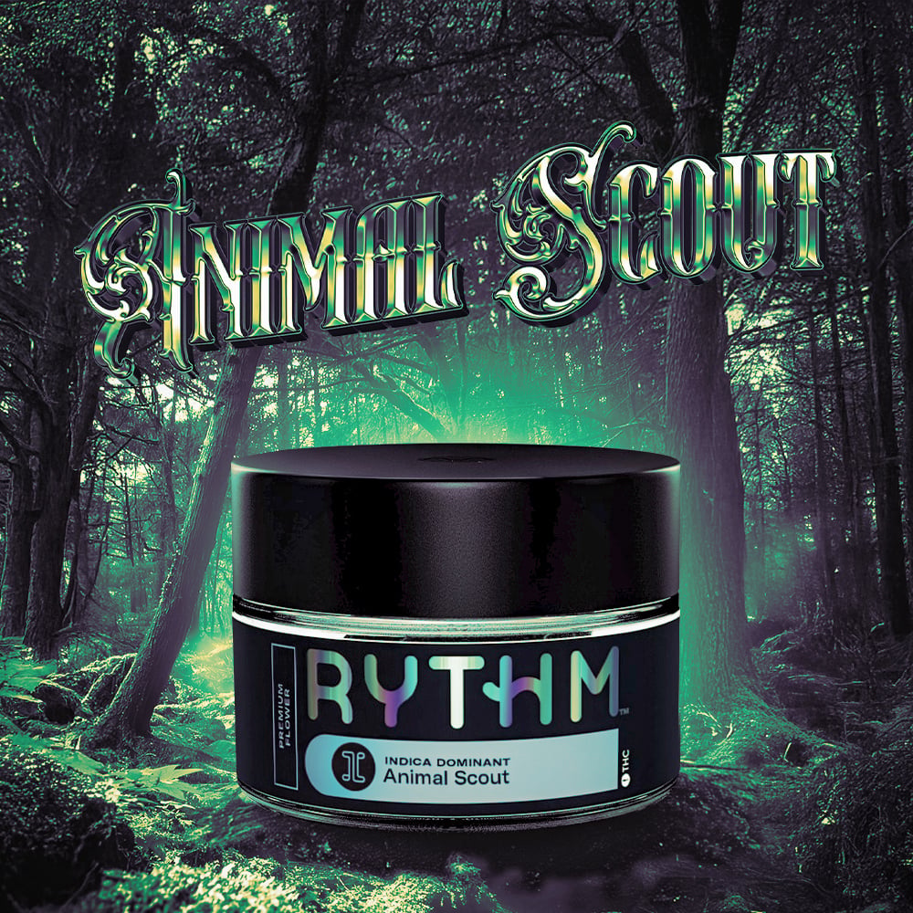 Animal Scout Animal Scout