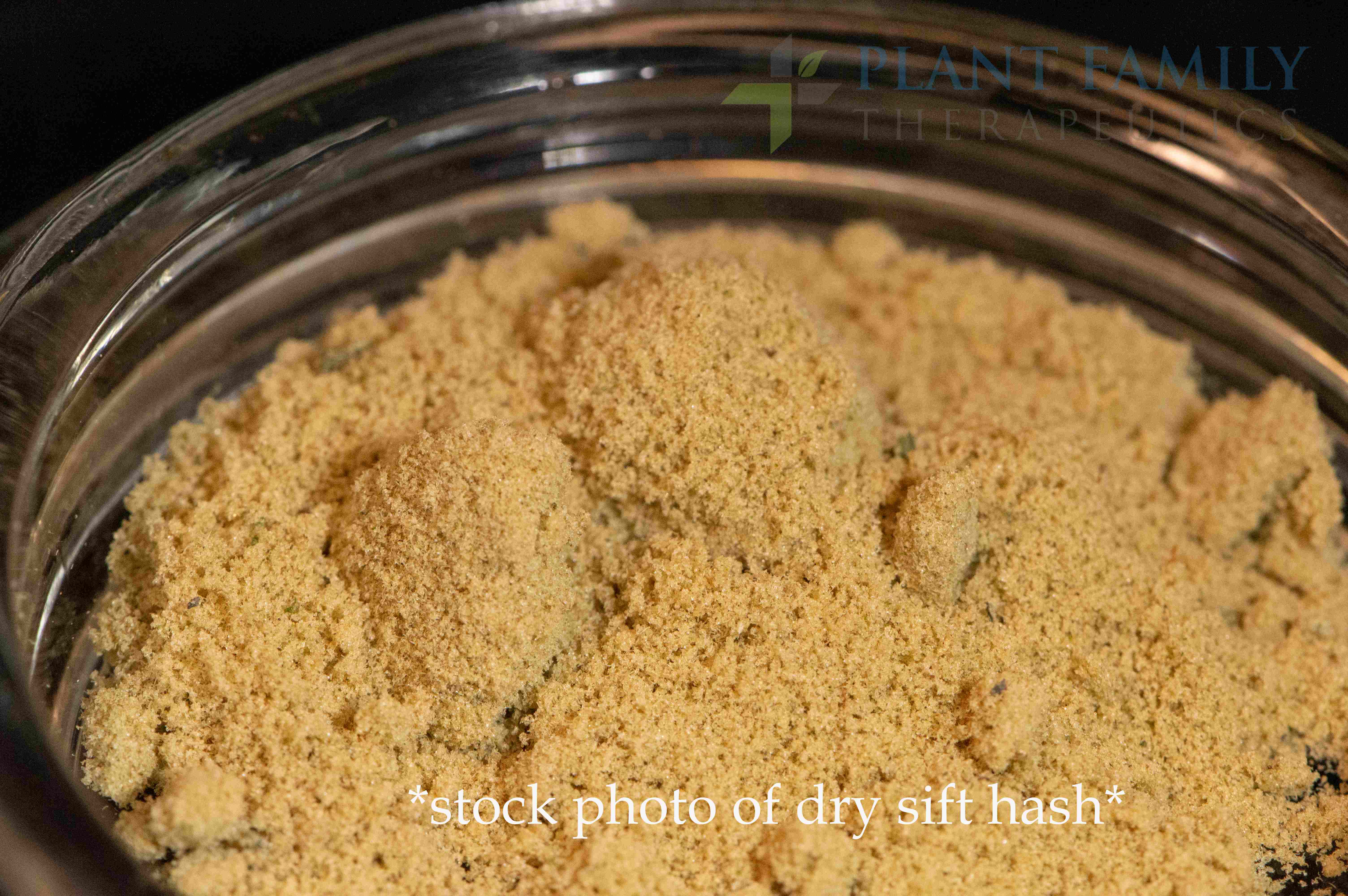 Blueberry Cupcake [3.5g]