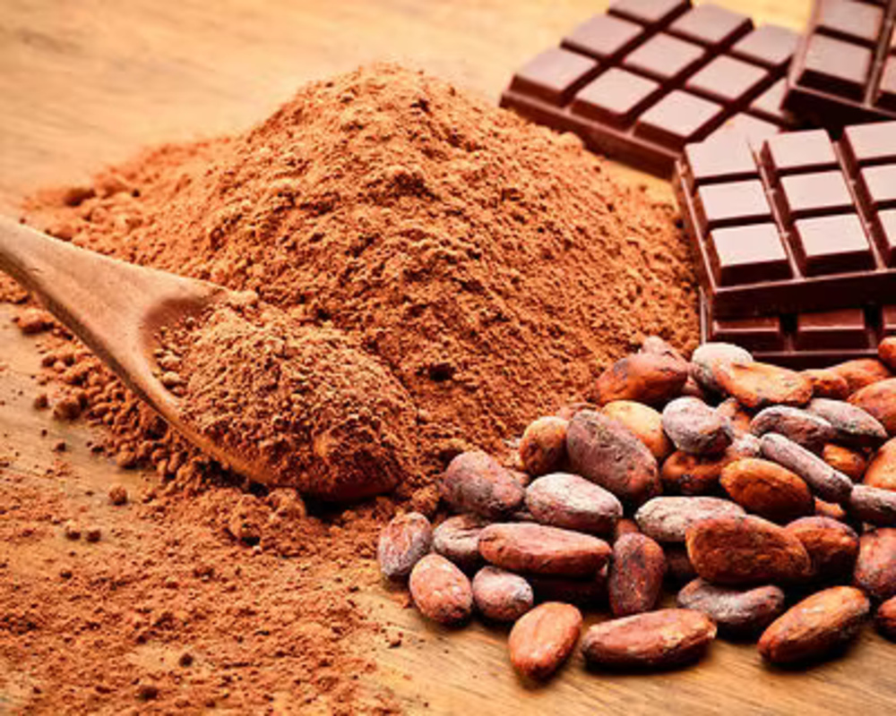 Chocolate Powder (20mg)