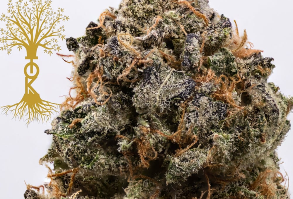 Crunch Berries (Premium Indoor)