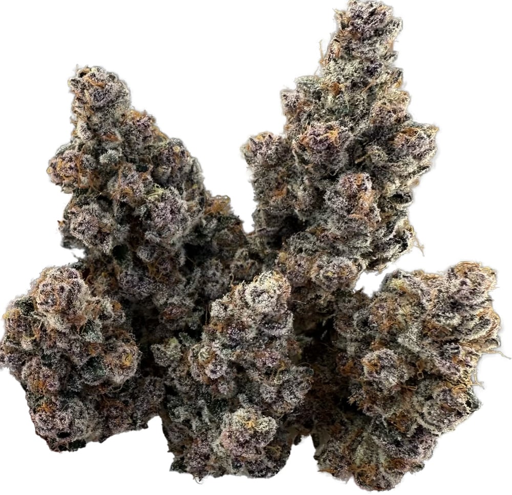 Tropical Infusion [56g]