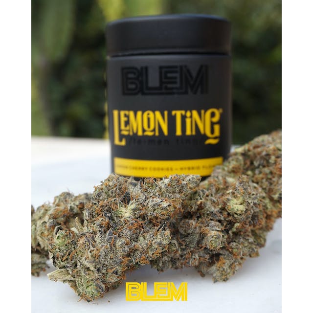 Lemon Ting Lemon Ting