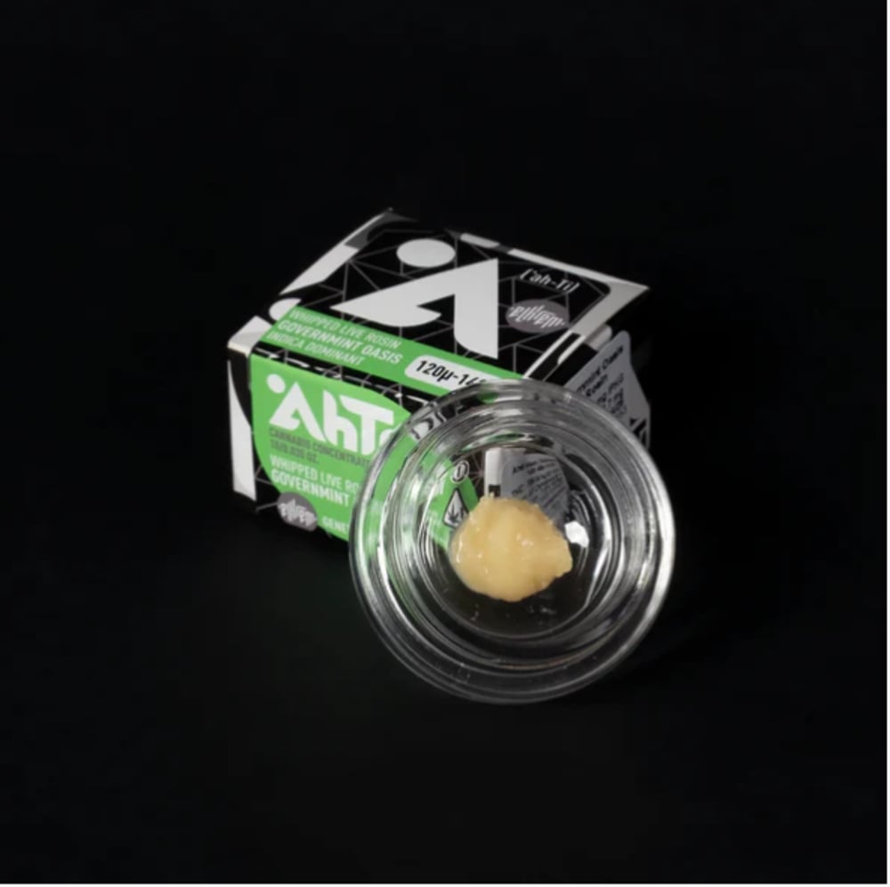 Governmint Oasis Governmint Oasis