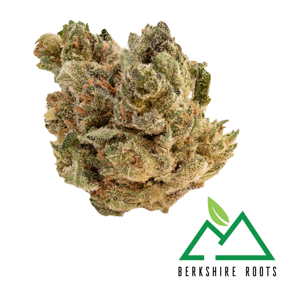 Berkshire Roots - Night Terror OG Flower Berkshire Roots - Night Terror OG Flower