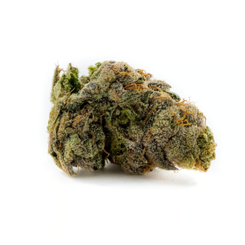 Mimosa