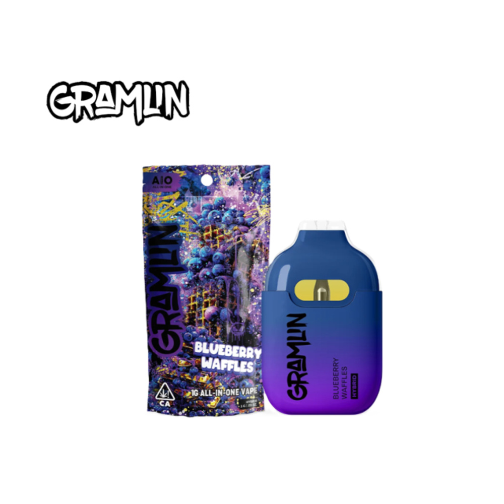BLUEBERRY WAFFLES 1G ALL IN ONE
