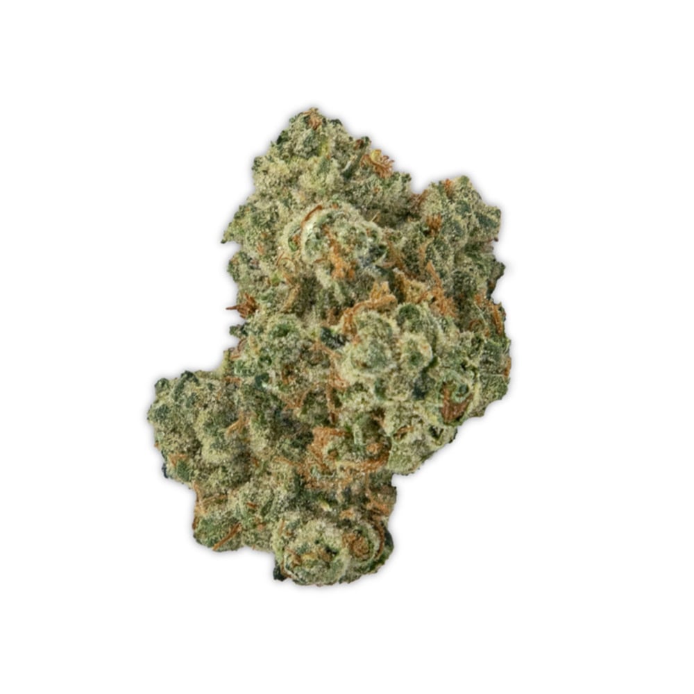 Gator Breath Gator Breath