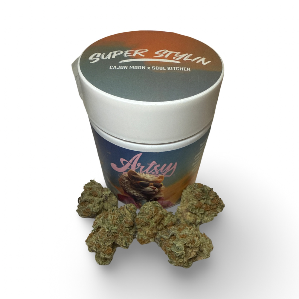 Super Stylin Super Stylin