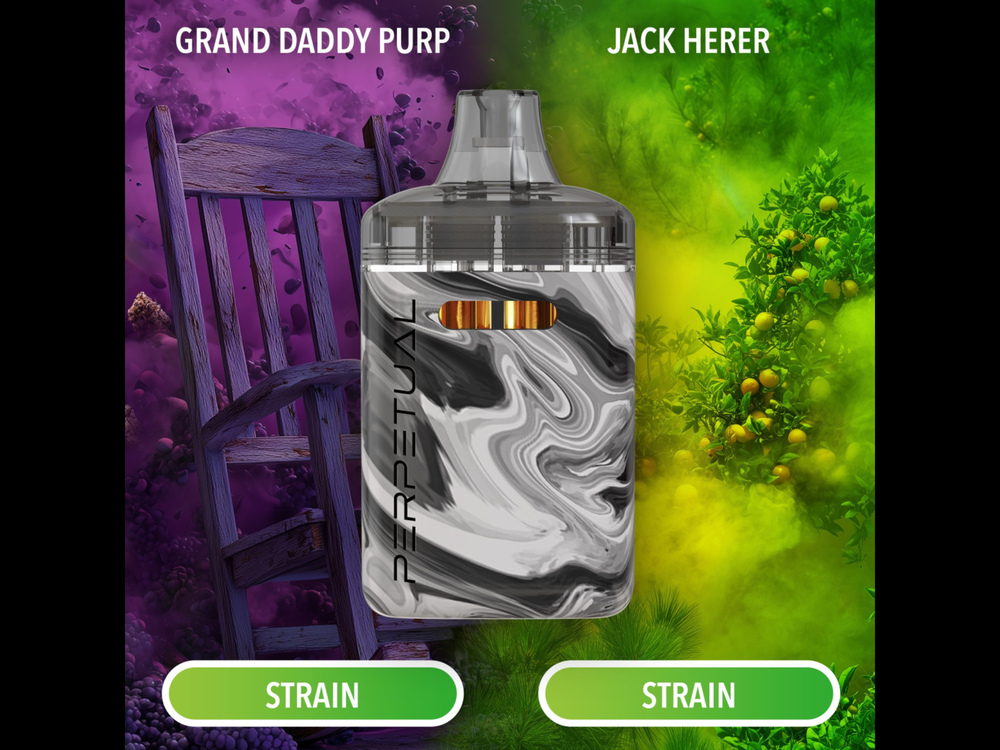 perpetual disposable vape review Shop Jack Herer & Grand Daddy Purp - (2g) (TAC: 90.94%) Flavours:Strawberry Raspberry Cherry Sour Grape Gush FOGER Replacement Pods