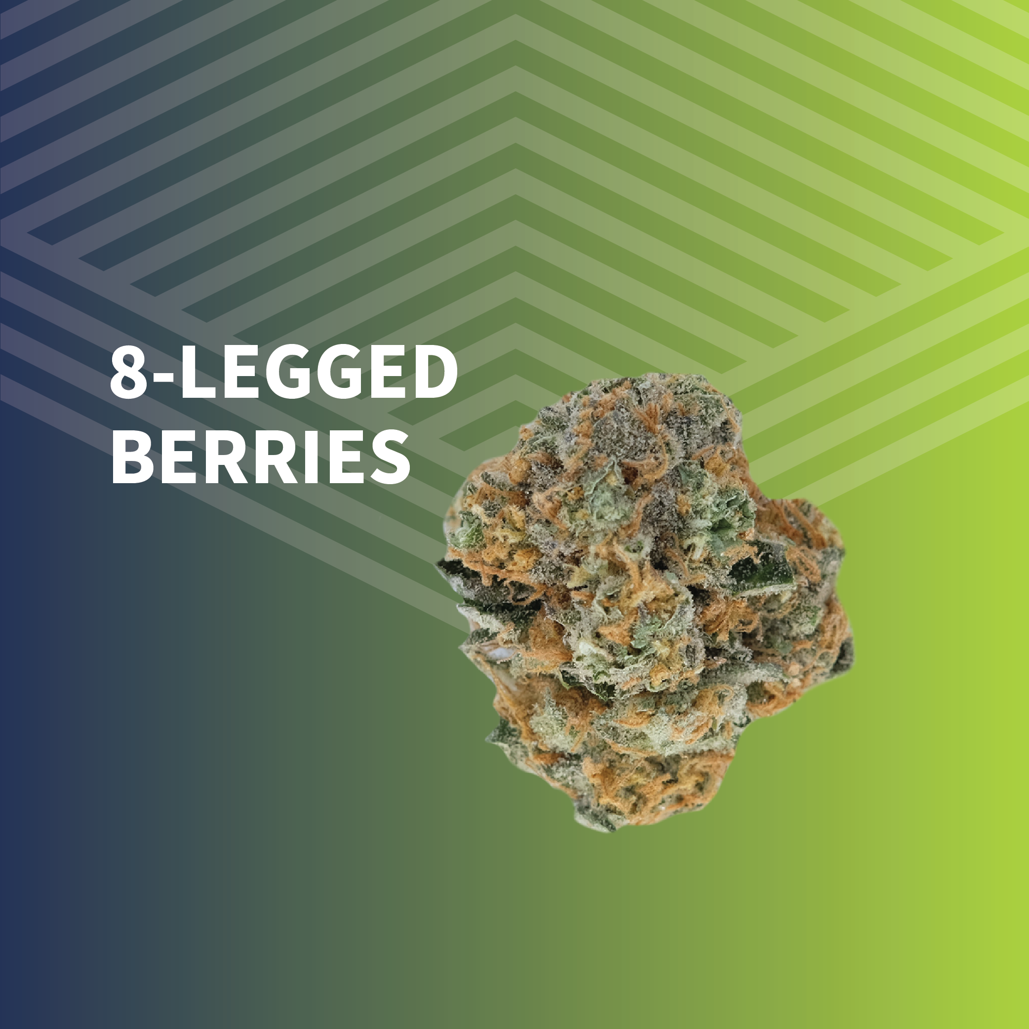 8-Legged Berries - 1oz in Bismarck