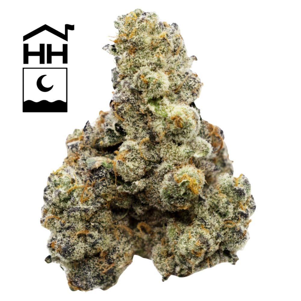 Harbor House Collective - Spritzer Flower