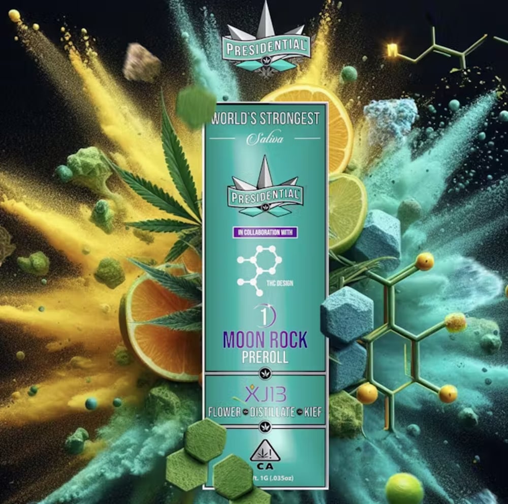 XJ-13 [1g]
