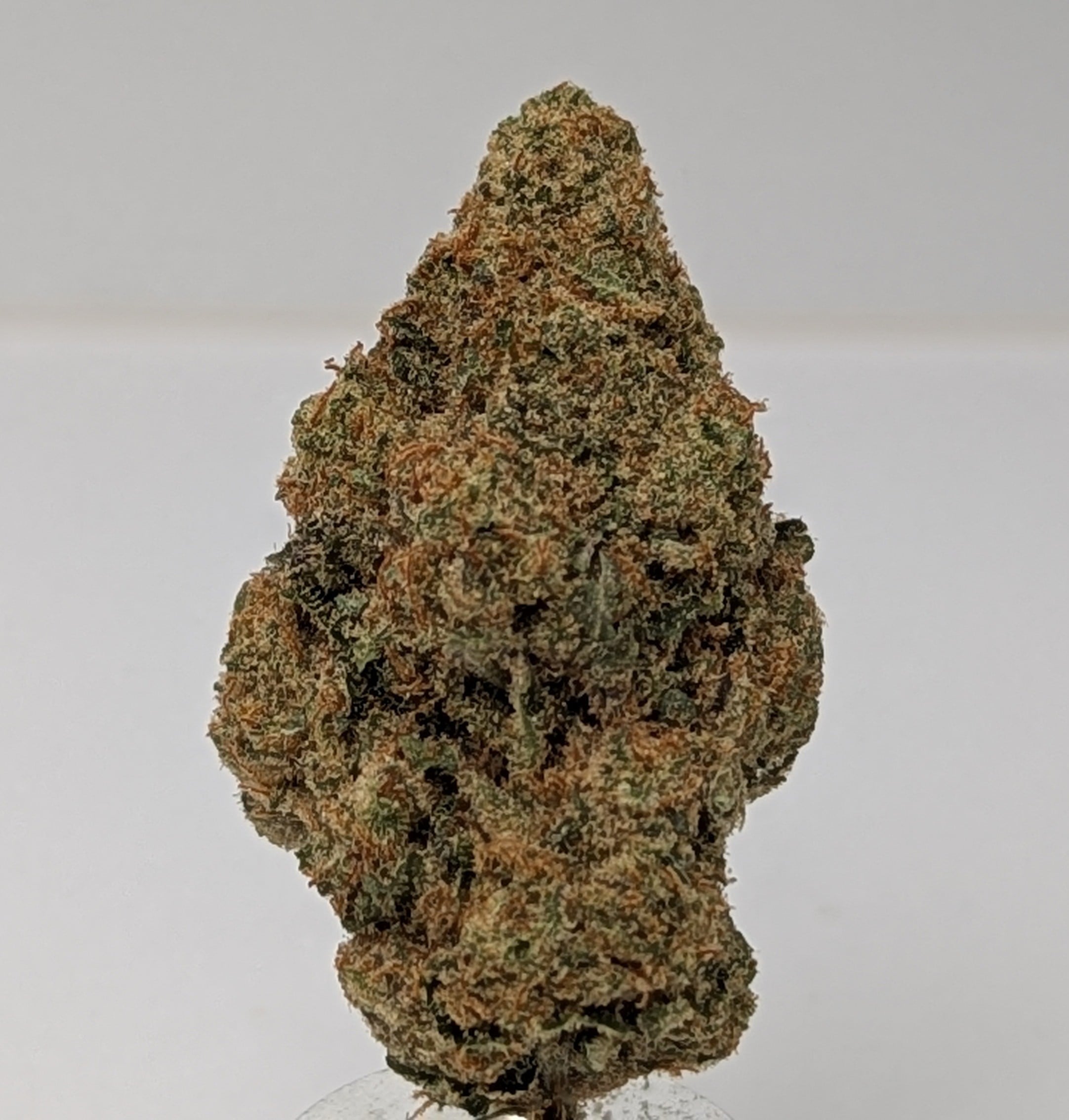 Purple Garlic Breath