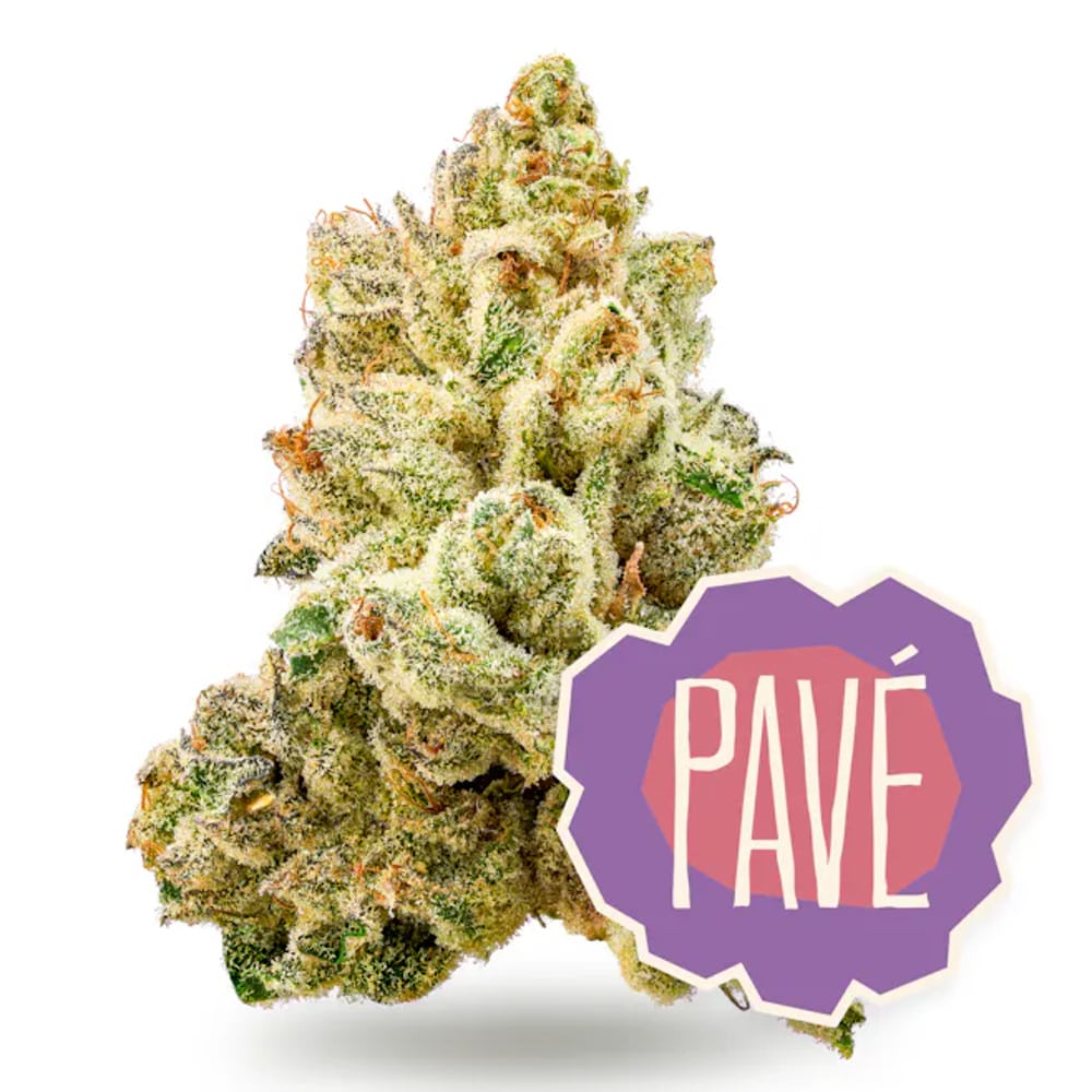 Pavé Pavé