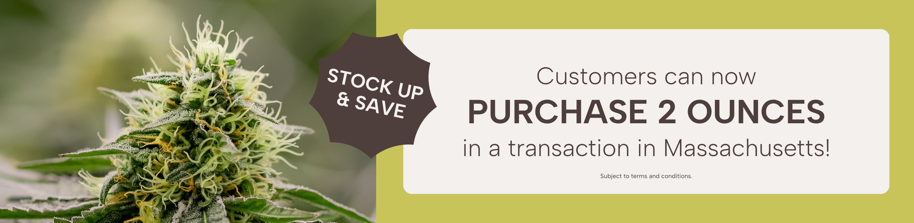 MA 2oz Recreational Purchase Limit Increase