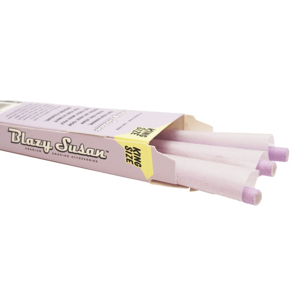Blazy Susan - King Size Purple Cones 3pk Blazy Susan - King Size Purple Cones 3pk