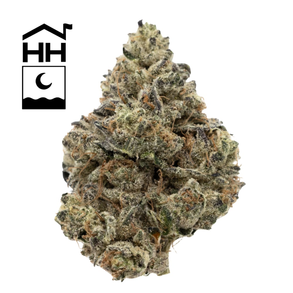 Harbor House Collective - Garlic Drip Flower Harbor House Collective - Garlic Drip Flower