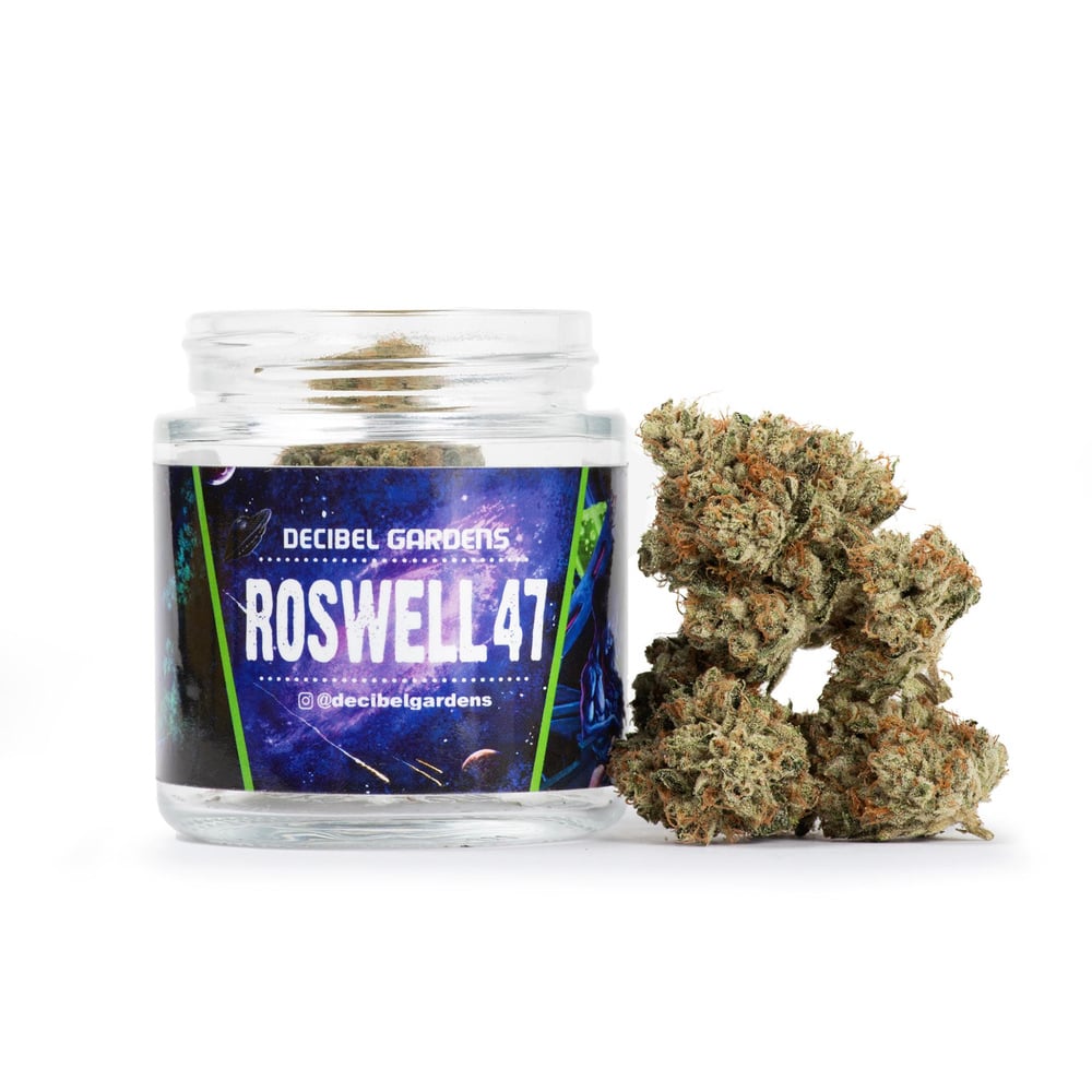 Roswell 47