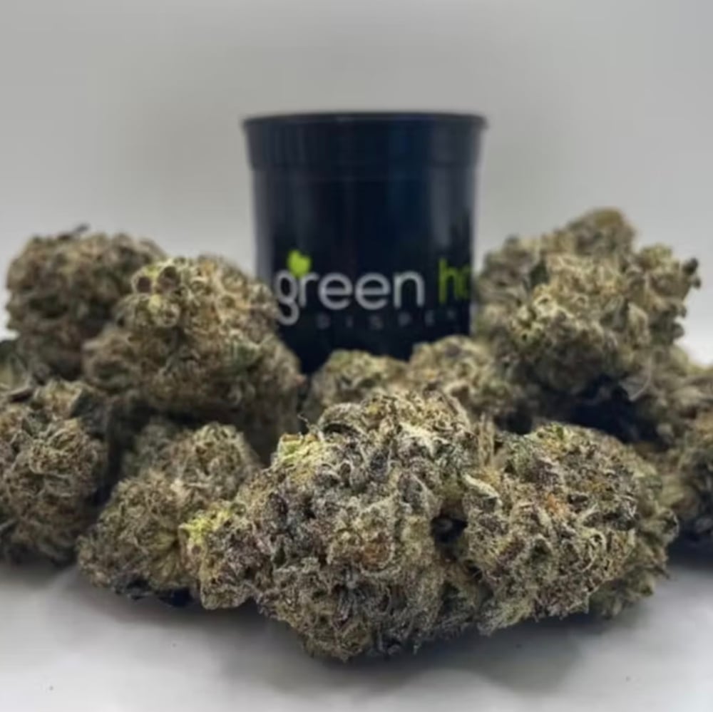 Green Harbor - GMO x Jungle Cake Flower
