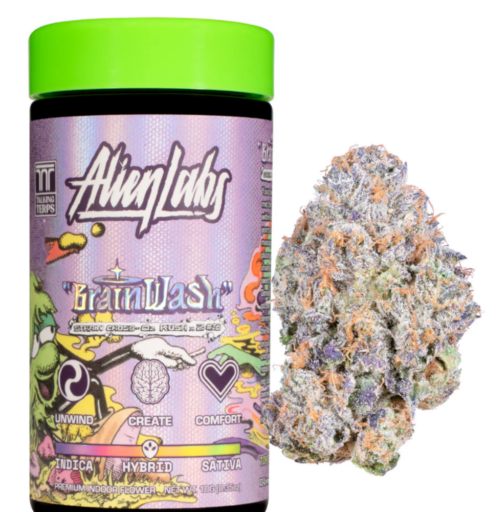 Brainwash [10g]