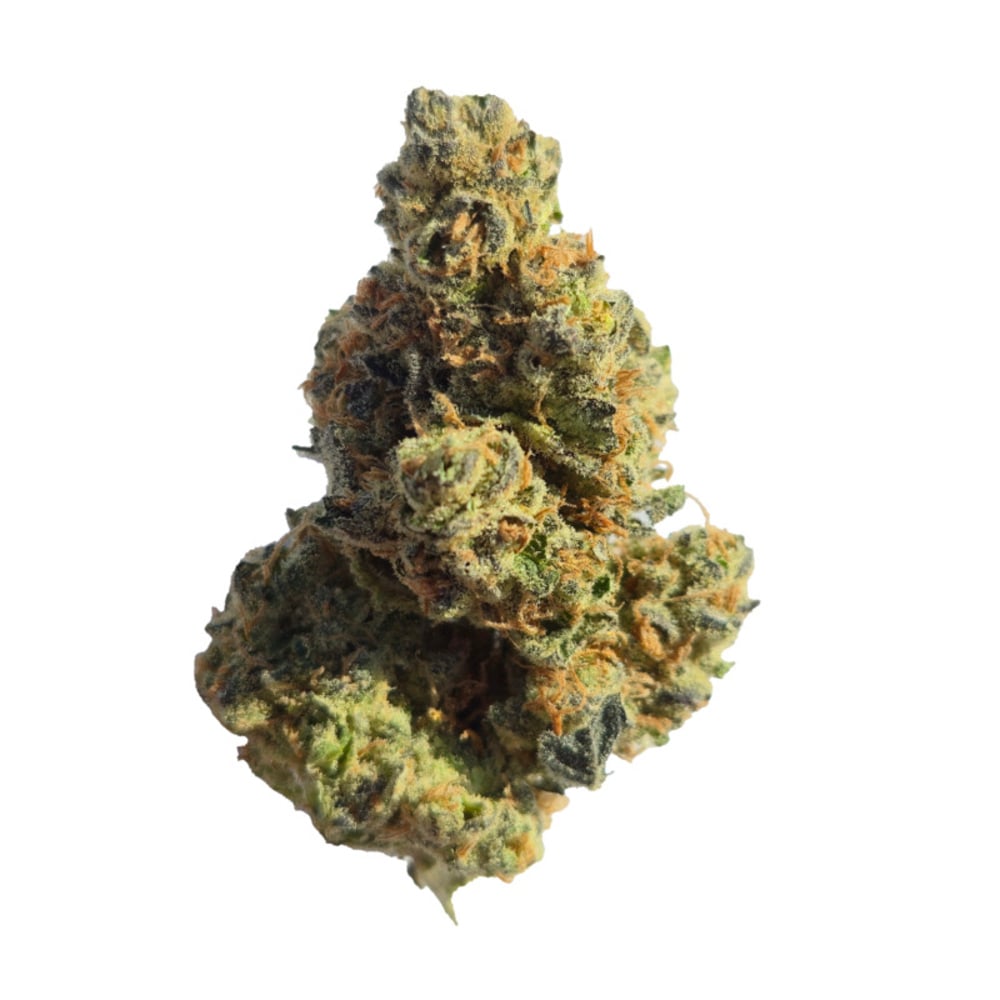 Super Sonic Blizzard