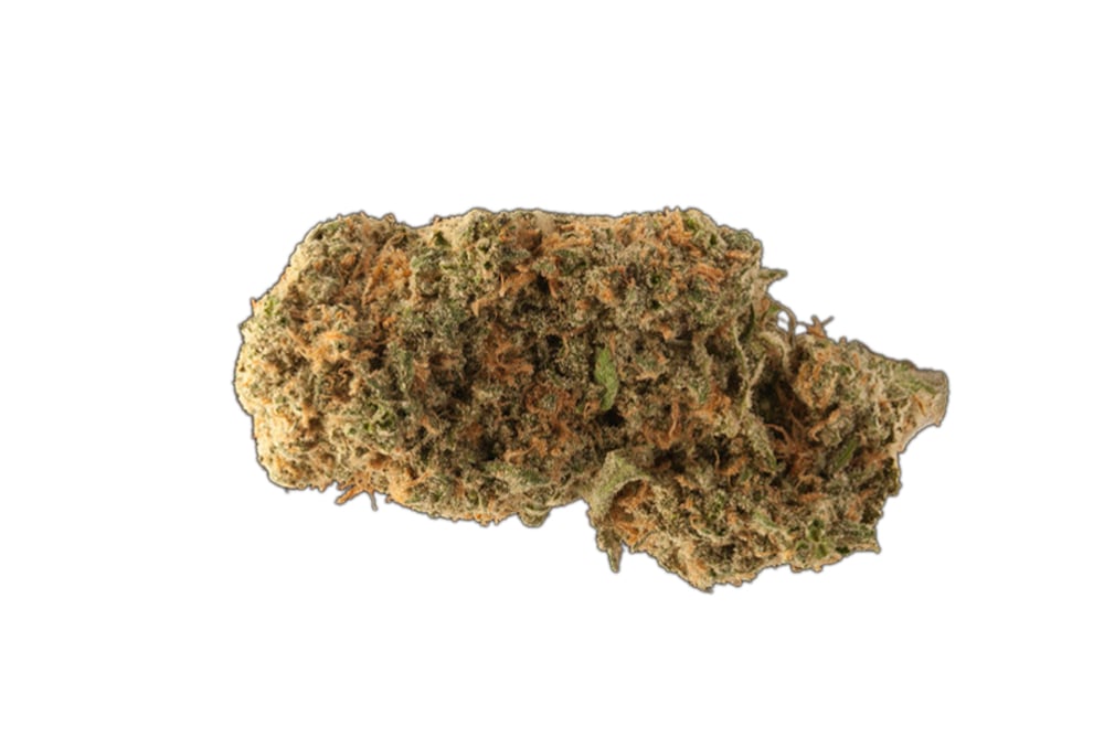 Master Kush