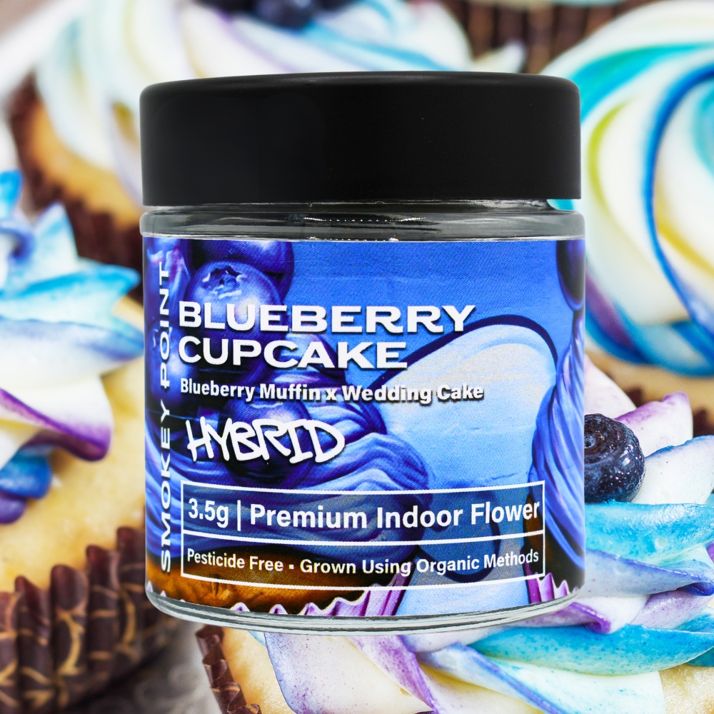 Blueberry Cupcake