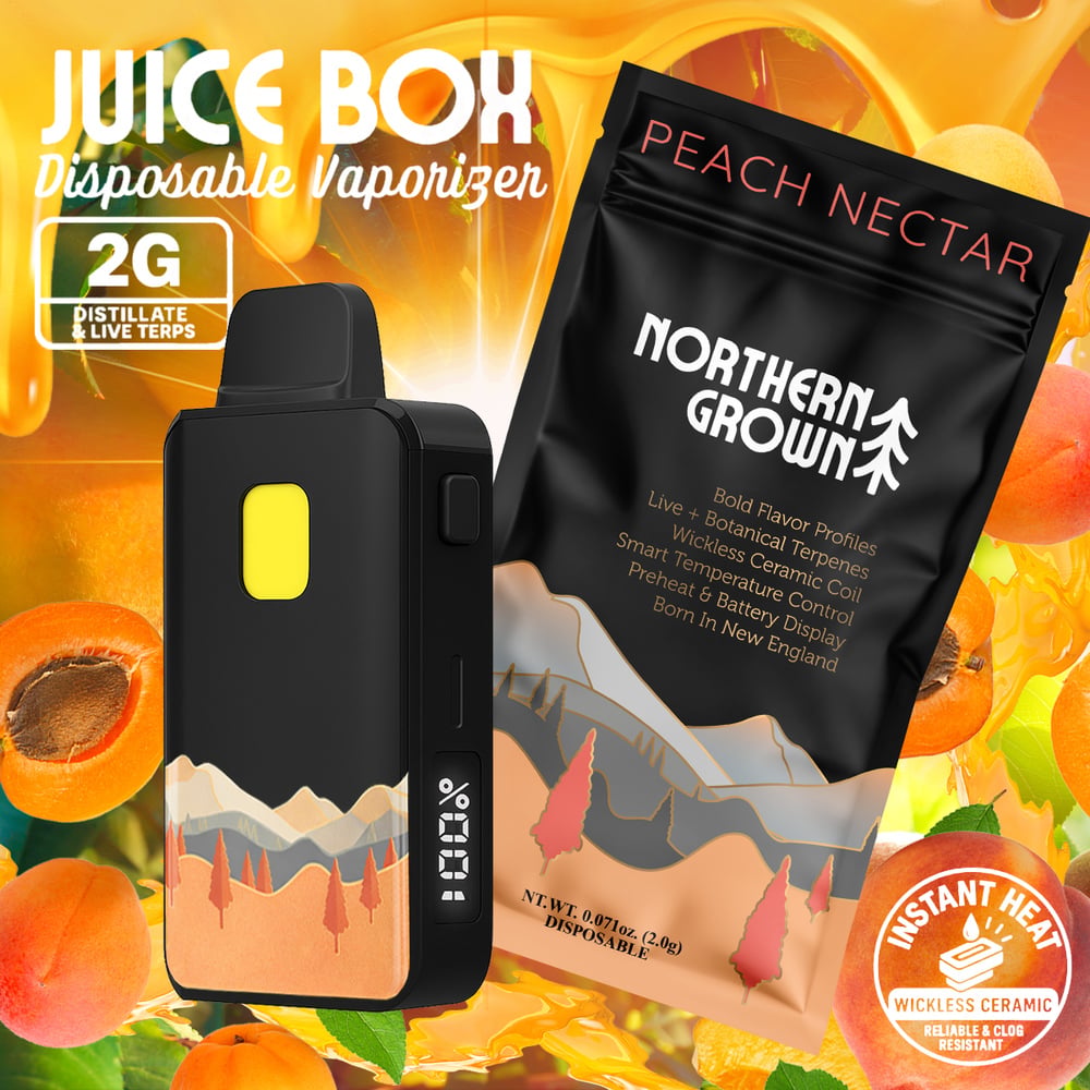 Northern Grown - Peach Nectar Juice Box Disposable (2g)