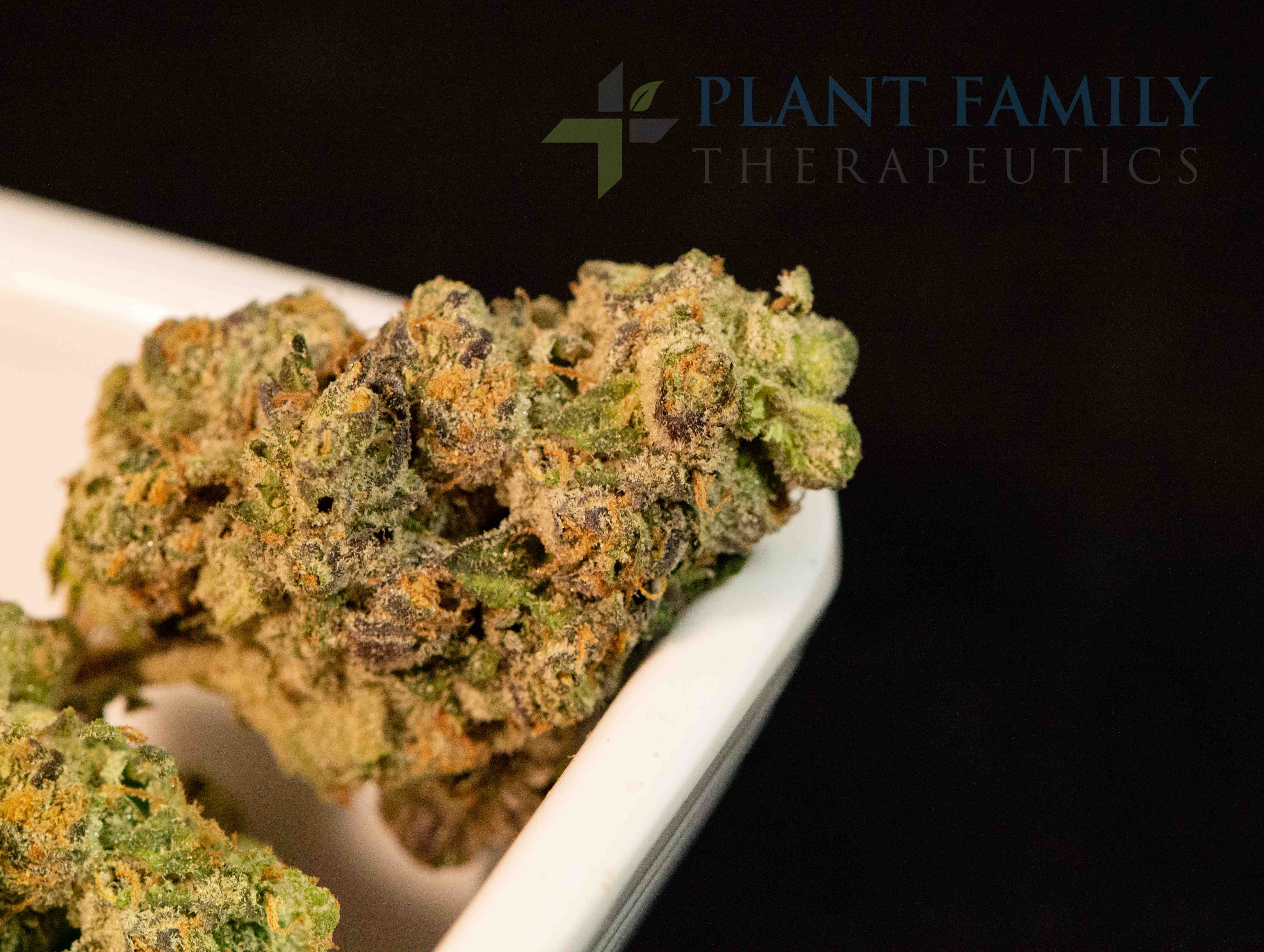 Shop Zapplezz | Plant Family Therapeutics Dispensary Mountain Home, AR