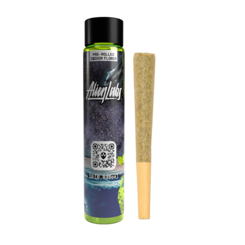 Brain Wash | Single Pre-Roll | 1g
