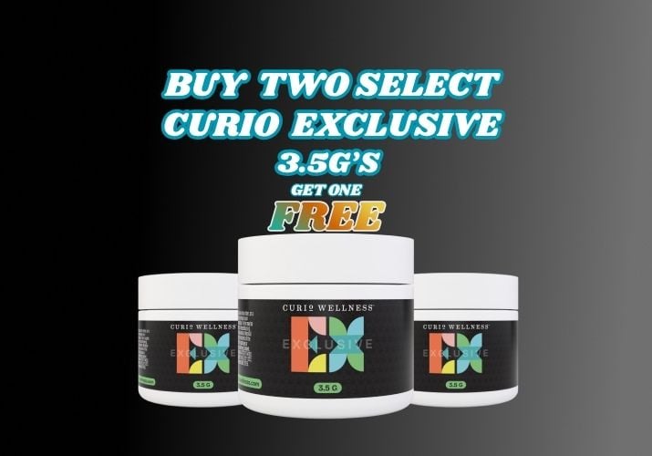 Shop Chocolate Chip [10pk] (50mg) | Green Goods - Frederick, MD