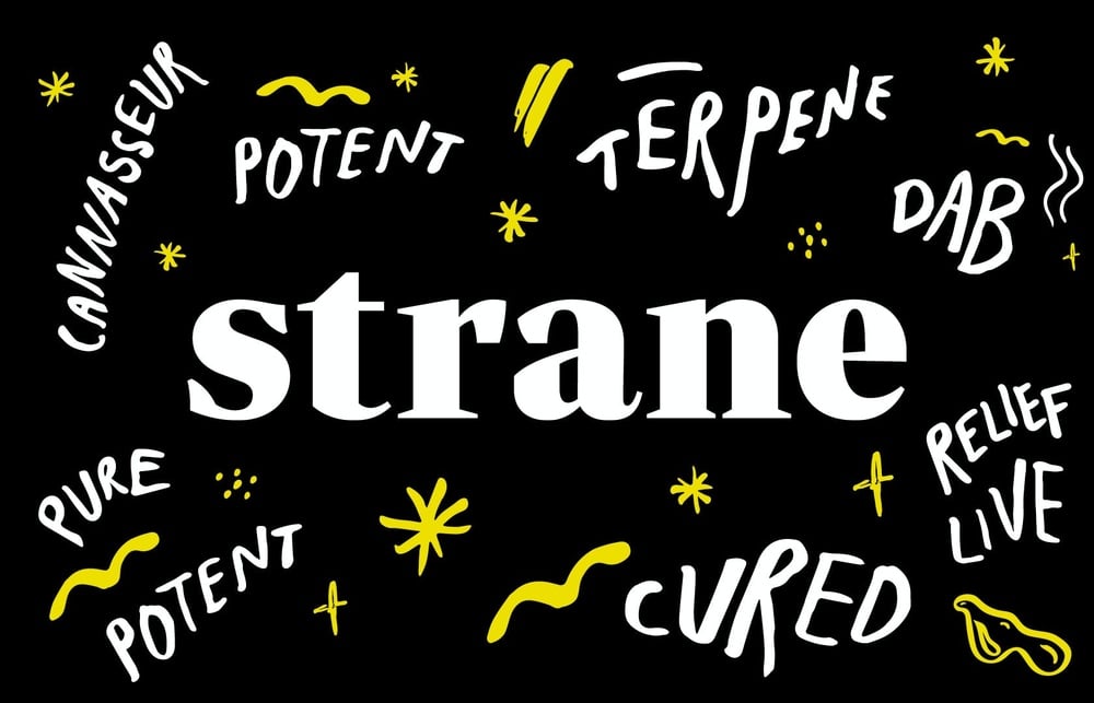 30% Off Holistic Products!! special